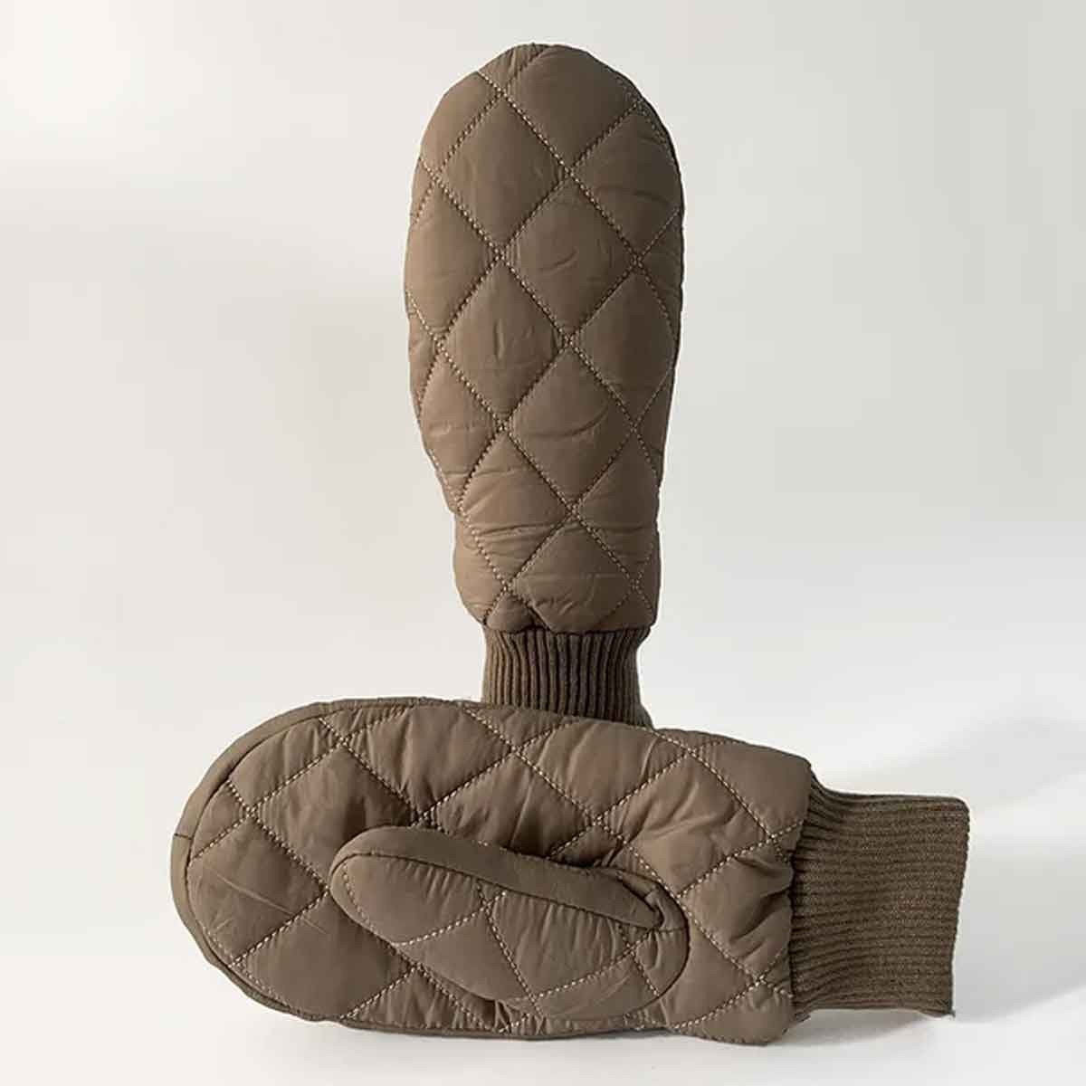 Winter Mitten Gloves 1707222759644